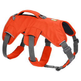 Produktbild von Ruffwear Web Master Hundegeschirr Orange Größe M aus Polyester mit bluesign® Zertifizierung