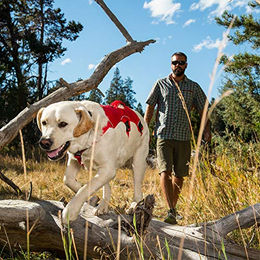 Ruffwear Web Master Hundegeschirr Sportgeschirr aus Nylon Grau Größe XS – Bild 1 von 4