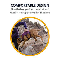 Produktbild von Ruffwear Web Master Hundegeschirr Sportgeschirr Rot XS