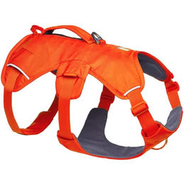 Ruffwear Web Master Hundegeschirr Y-Geschirr Orange Größe S – Bild 1 von 13