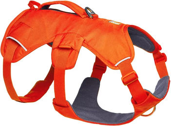 Ruffwear Web Master Hundegeschirr Y-Geschirr Orange XS – Bild 1 von 13