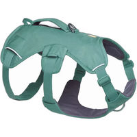 Produktbild von Ruffwear Web Master Sicherheitsgeschirr für Hunde in Grün Größe S