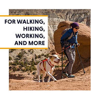 Produktbild von Ruffwear Web Master Sportgeschirr für Hunde Blau Größe XS