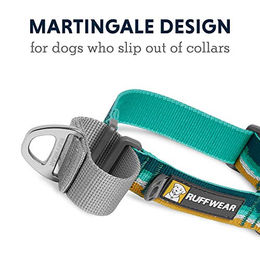 Ruffwear Web Reaction Erziehungshalsband für Hunde Seafoam Türkis 23-26 Zoll – Bild 1 von 3