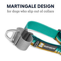 Produktbild von Ruffwear Web Reaction Erziehungshalsband für Hunde Seafoam Türkis 23-26 Zoll