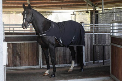RugBe Führanlagen- und Spazierdecke aus Polyester in Schwarz 145 cm – Bild 1 von 1