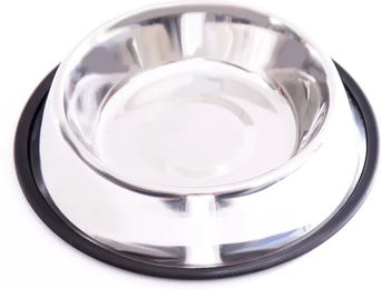 Rutschfester Katzen-Futternapf aus Edelstahl von Martin Sellier in Silber – Bild 1 von 1