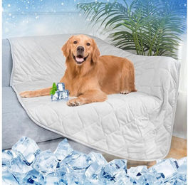 Rywell Hundematte selbstkühlende Kühldecke für Hunde Grau aus Polyester – Bild 1 von 4