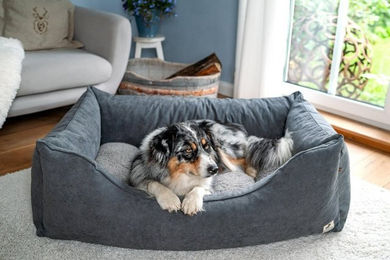 Produktbild von SABRO Hundebett Lalelu