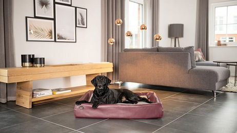 Produktbild von SABRO Hundekorb Hundebett KUDDE Kunstleder