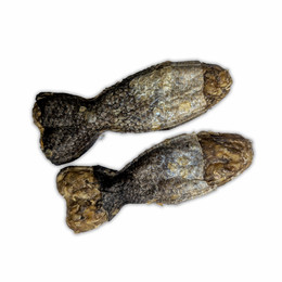 Produktbild von SALiNGO Kauknochen mit Lachs