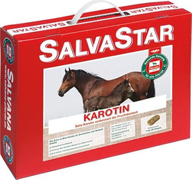 Produktbild von Salvana Salvastar Karotin