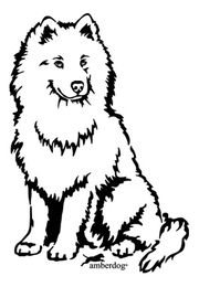 Produktbild von Samojede Grafiklizenz