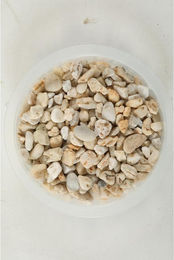 Produktbild von Sand für Naturaquarien Großhandel Zolux