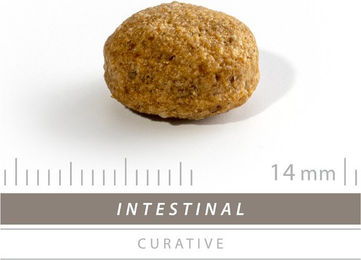 SANIMED Intestinal Hundefutter - 1,5 kg – Bild 1 von 5