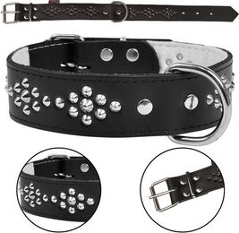 Produktbild von Sarcia.eu Hunde-Halsband aus Leder mit Nieten 40mm/46cm