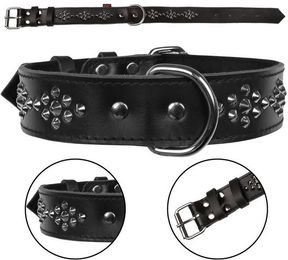 Produktbild von Sarcia.eu Hunde-Halsband Schwarz mit Nieten 40mm