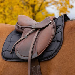 Produktbild von Satin-Satteldecke für Pferde Equithème