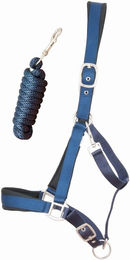 Produktbild von Satiniertes, unterlegtes Pferdehalfter mit Longe T de T