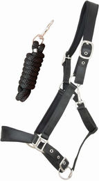 Produktbild von Satiniertes, unterlegtes Pferdehalfter mit Longe T de T