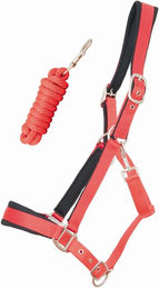 Produktbild von Satiniertes, unterlegtes Pferdehalfter mit Longe T de T