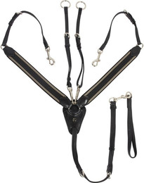 Produktbild von Sattel mit Martingal Catago