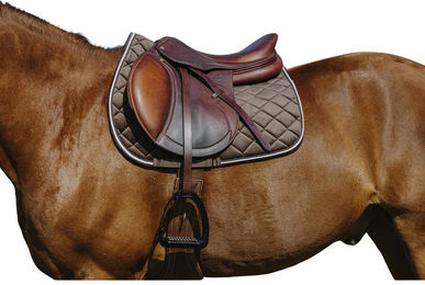 Produktbild von Satteldecke für Pferde aus Samt Riding World