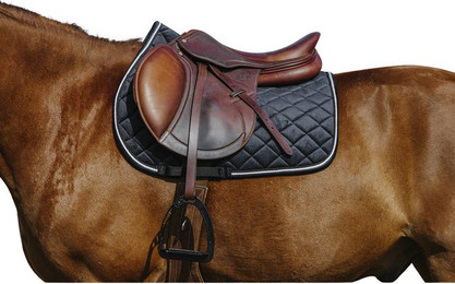 Produktbild von Satteldecke für Pferde aus Samt Riding World