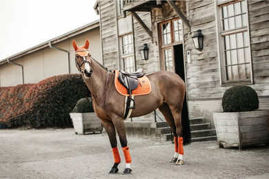 Produktbild von Satteldecke für Pferde Kentucky