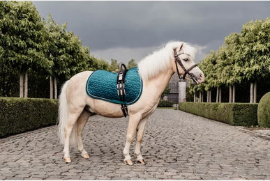 Satteldecke für Pferde Kentucky – Bild 1 von 2