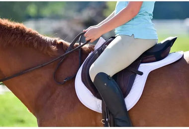 Produktbild von Satteldecke für Pferde ThinLine