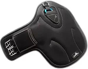 Produktbild von Sattelgurt eQuick