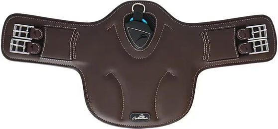 Produktbild von Sattelgurt eQuick