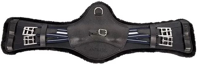 Produktbild von Sattelgurt für Pferde Antarès Sancos