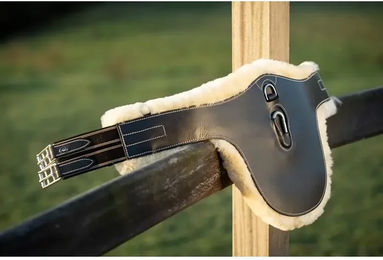 Produktbild von Sattelgurt HFI