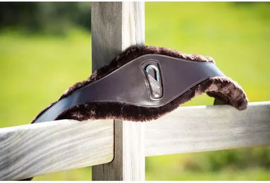 Produktbild von Sattelgurt HFI