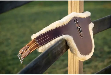 Produktbild von Sattelgurt HFI