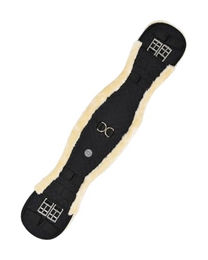 Sattelgurt Miami – Bild 1 von 3