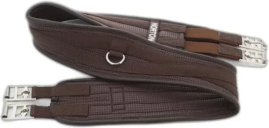 Produktbild von Sattelgurt Norton