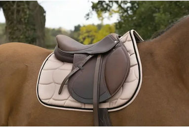 Produktbild von Sattelunterlage Equithème Satin für Pferde