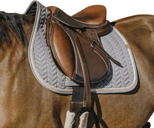 Produktbild von Sattelunterlage für Pferde Equithème Softy