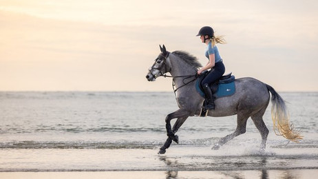 Produktbild von Sattelunterlage für Pferde LeMieux Contact Square