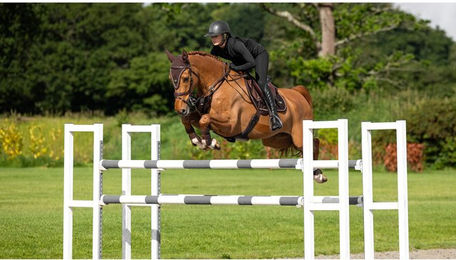 Produktbild von Sattelunterlage LeMieux Puissance für Pferde