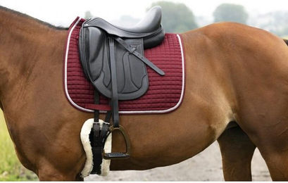 Produktbild von Sattelunterlage Riding World Girly