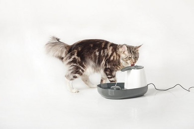 Produktbild von SAVIC Cascade Trinkbrunnen 1,5 Liter für Katzen und kleine Hunde - 1,5 l