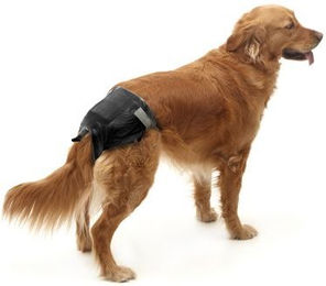 Savic Comfort Nappy - Größe 5 – Bild 1 von 5