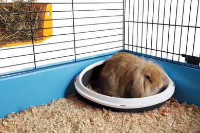 Produktbild von SAVIC Ecktoilette Concha für Kleintiere XL