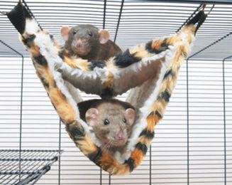 Savic Tube Relax de Luxe - L – Bild 1 von 5