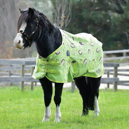 Produktbild von Saxon 600D Pony Standard Neck Lite Regendecke