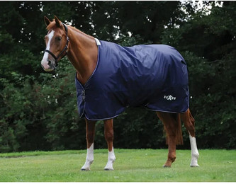 Produktbild von Saxon Defiant 600D Standard Neck Medium 200g